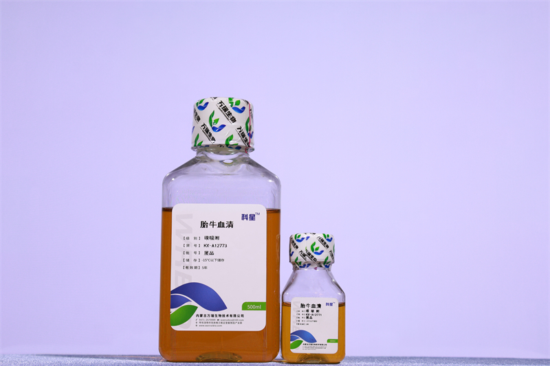 碳吸附胎牛血清