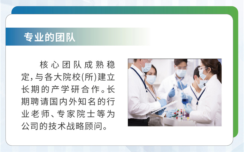 专业的团队